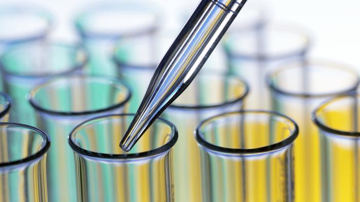 metodi alternativi sperimentazione animale